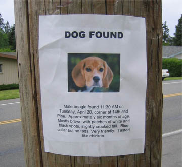 The image �http://www.laughnet.net/archive/toons/112906/Dog%20Found.jpg� cannot be displayed, because it contains errors.