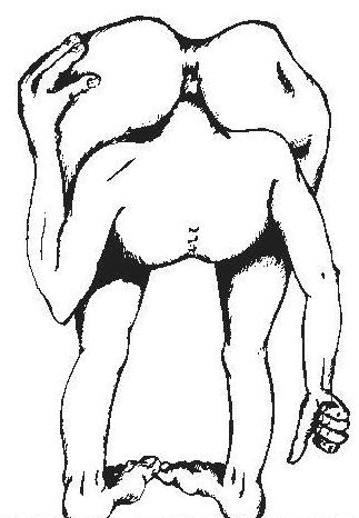 The image Ã¢â‚¬Å“http://www.laughnet.net/archive/toons/headupas.jpgÃ¢â‚¬Â? cannot be displayed, because it contains errors.